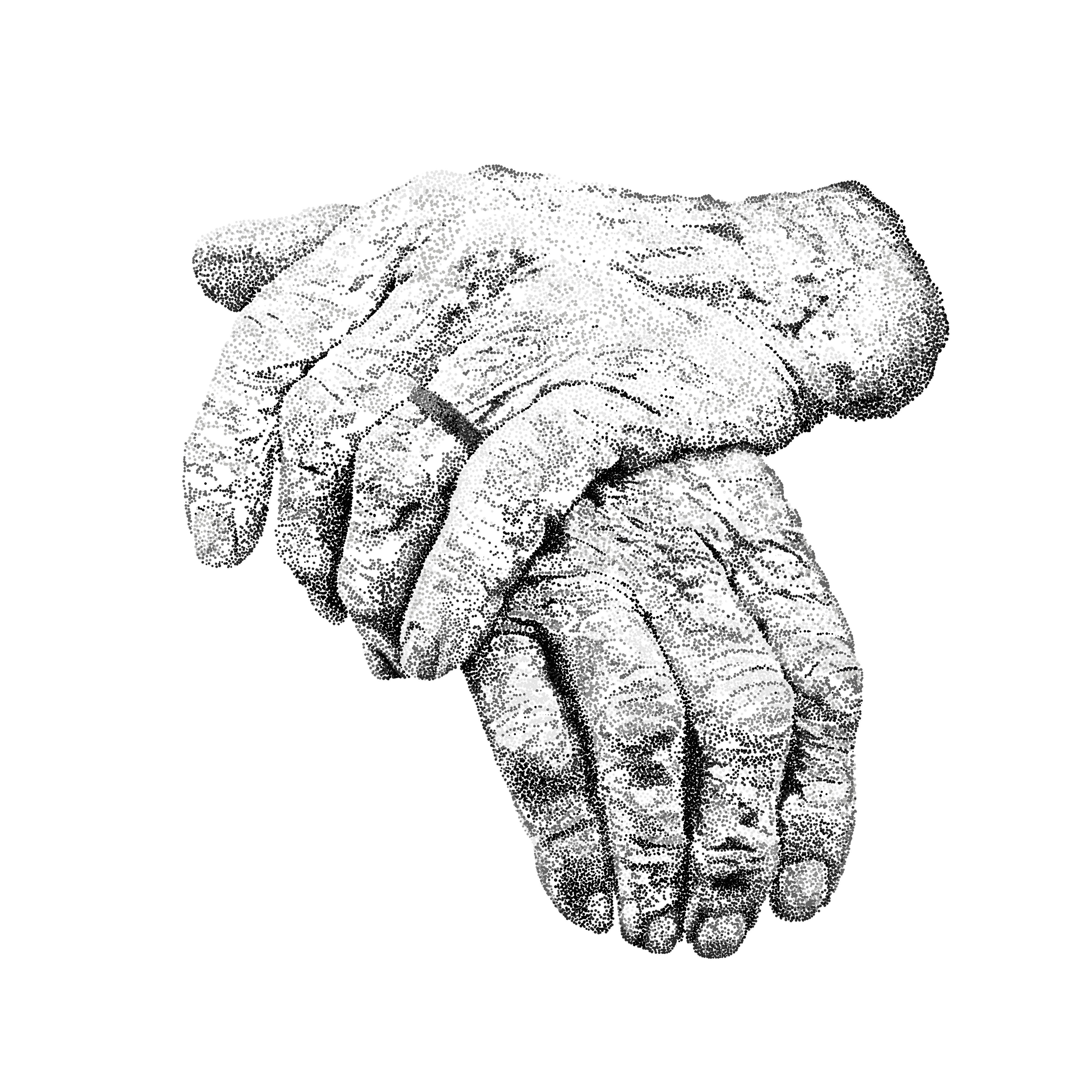 Elder Hands