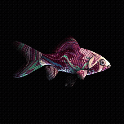 CryptoFish #5004