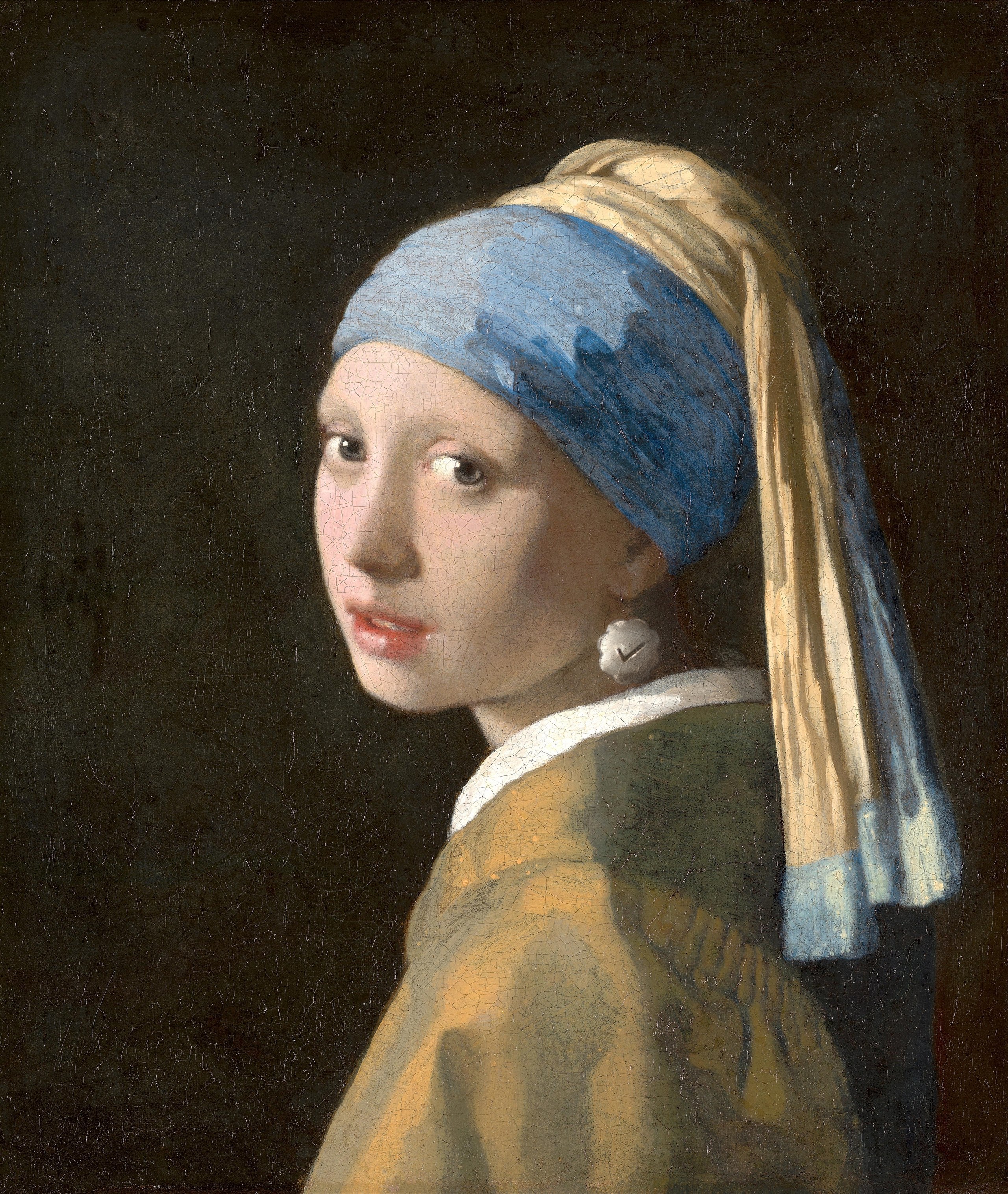 Girl With A Verified Earring 2258