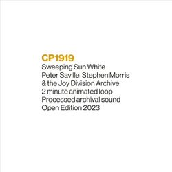 CP1919: Sweeping Sun White 2023 collection image