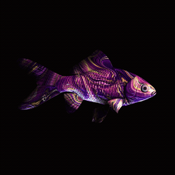 CryptoFish #5080