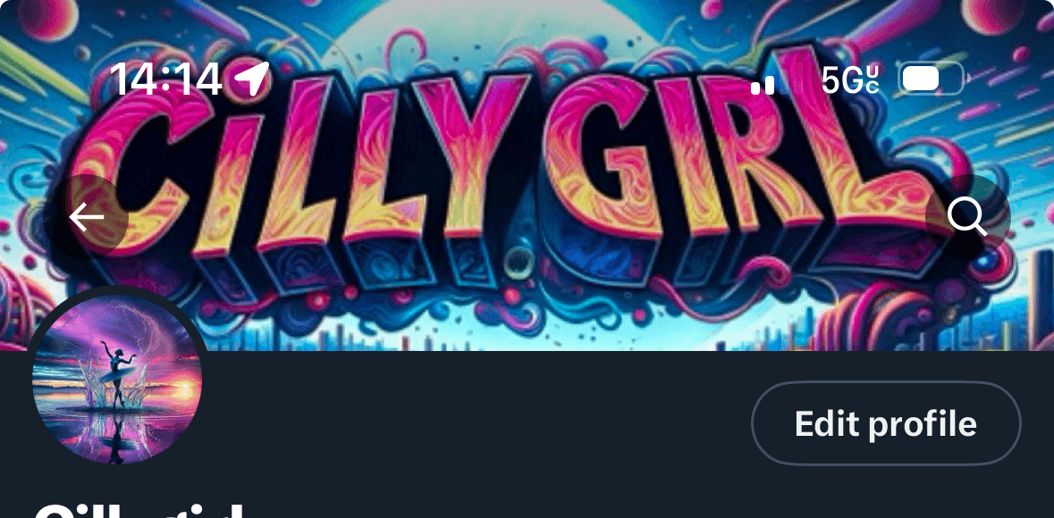 Cillygirl banner