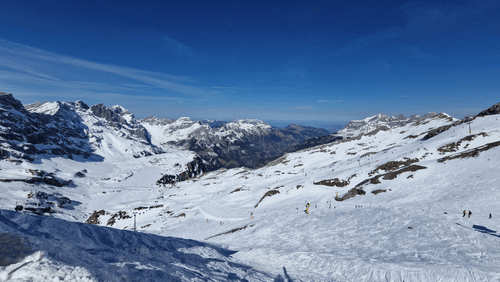 paveldcr.lens-Collect-758