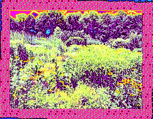 Coordinates 21