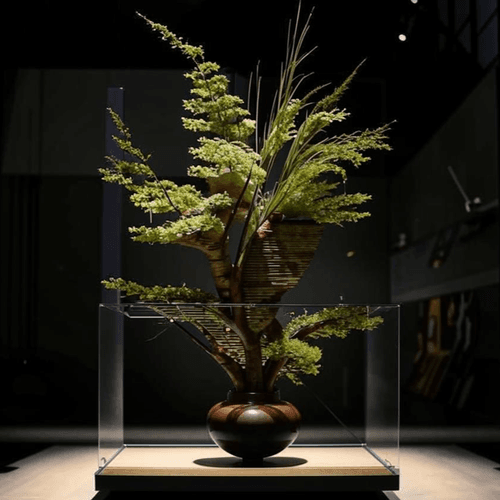 Ikebana Artisan - emotional wrap up