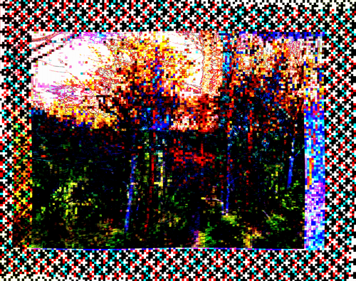 Coordinates 15