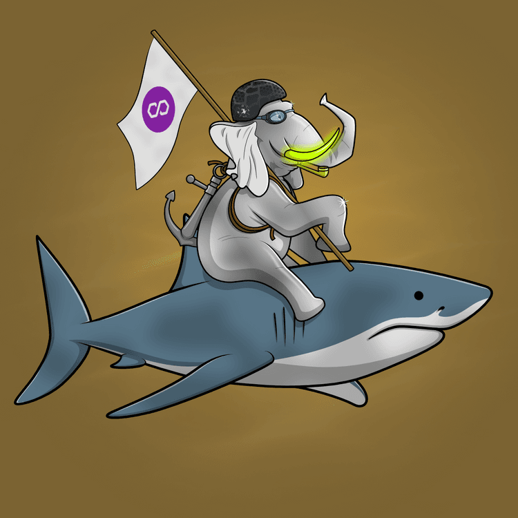 Ocean Racer #17751