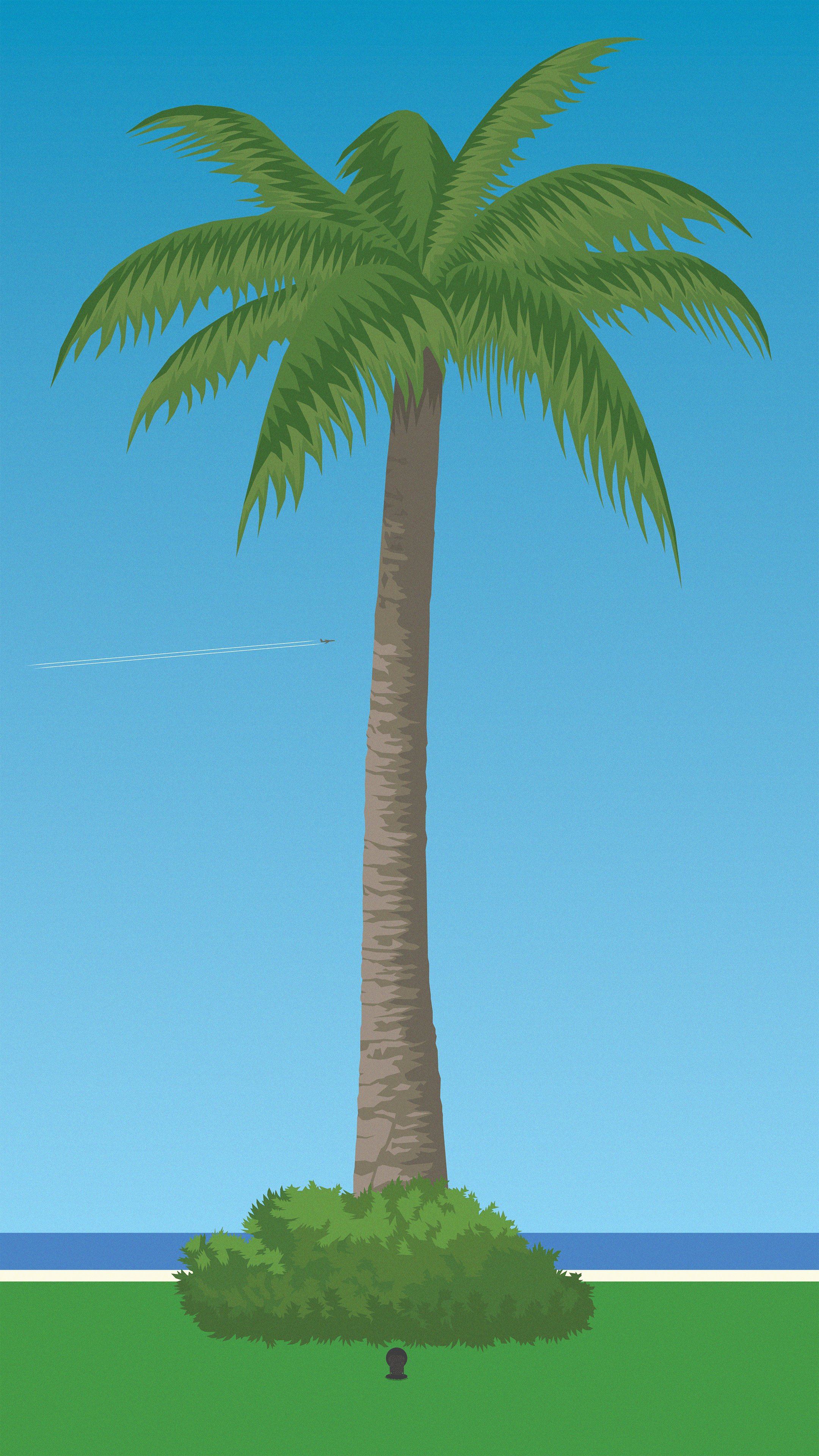 Giant Palm Study