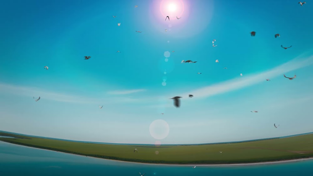 The Swarm: r = θ 3