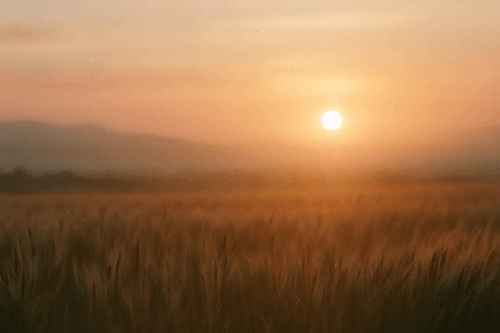 Moving Moments: Fragments of Light Vol.1 - Ghosts of the Golden Hour