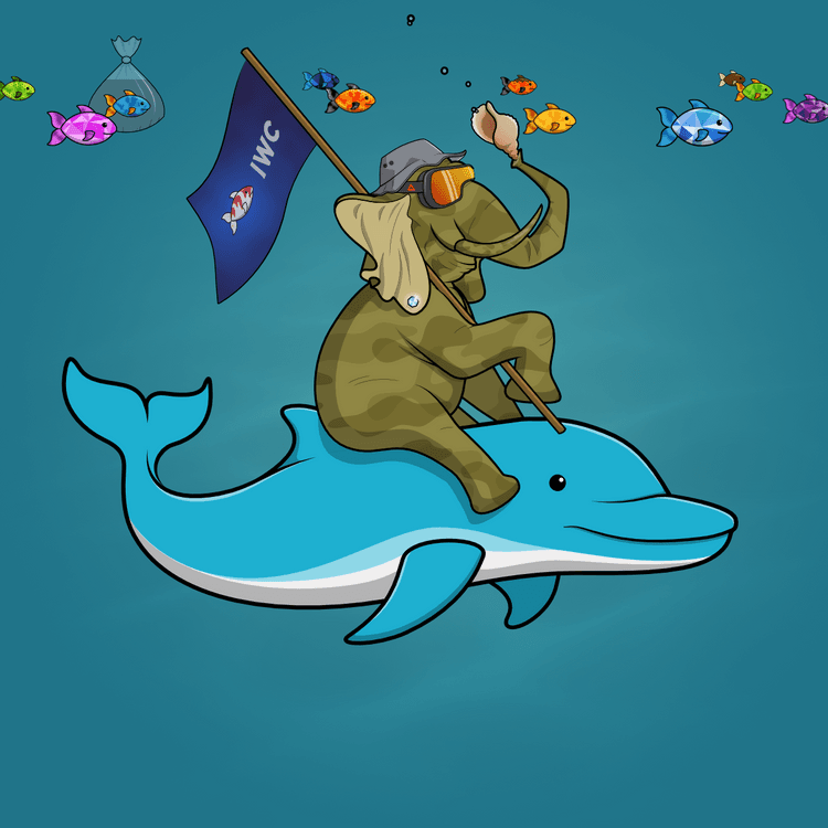 Ocean Racer #16552