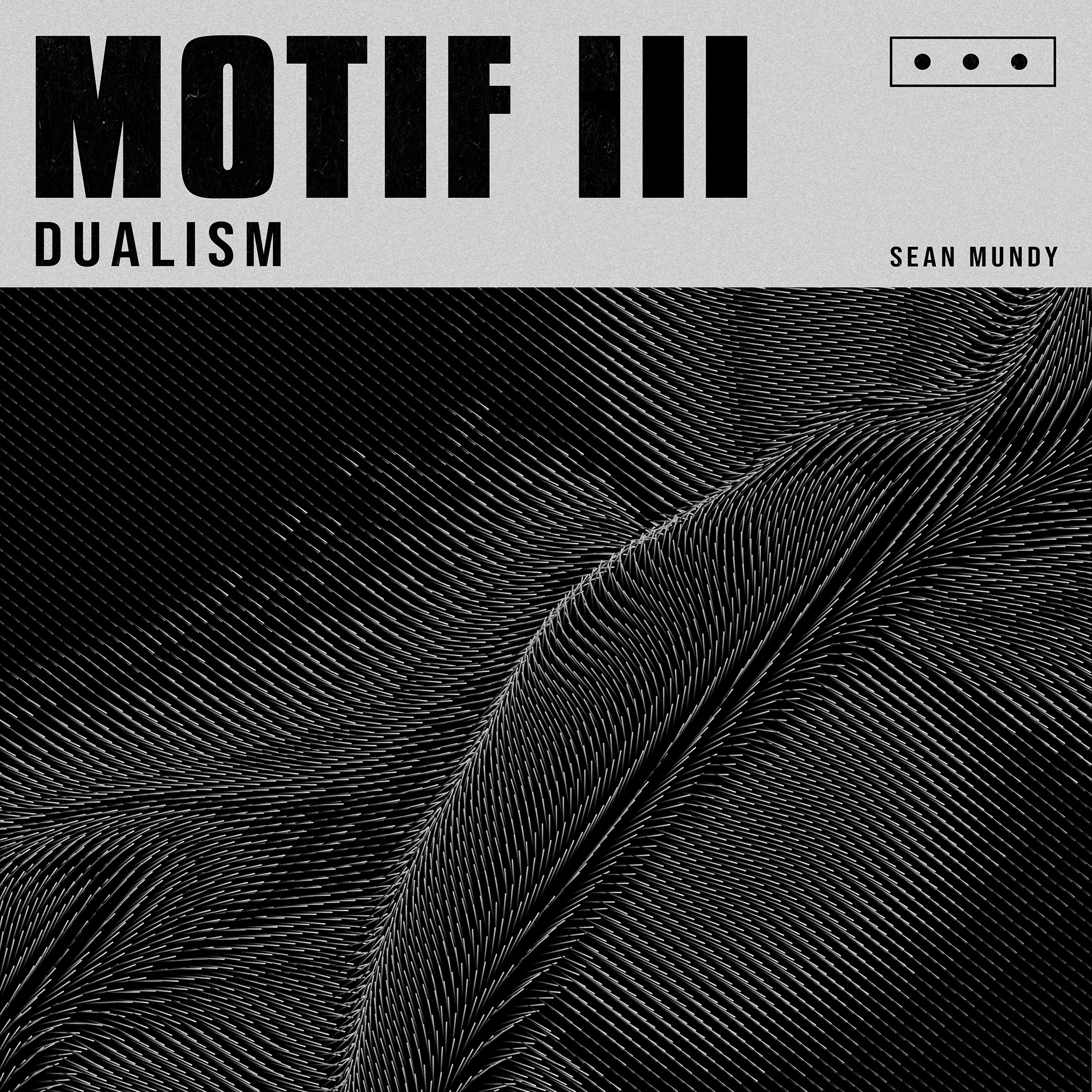 MOTIF 3 - Dualism
