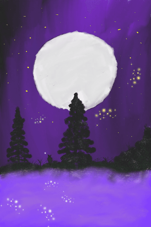 Midnight cat