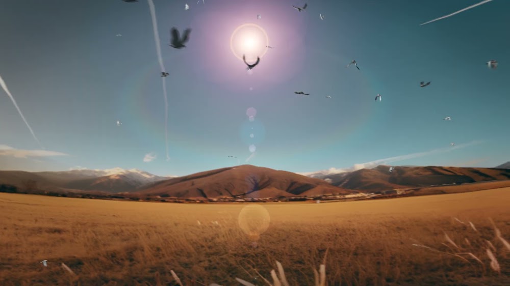 The Swarm: r = θ