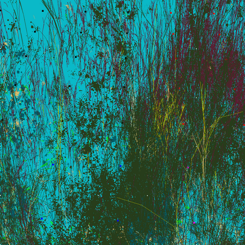 Infinite Garden 20