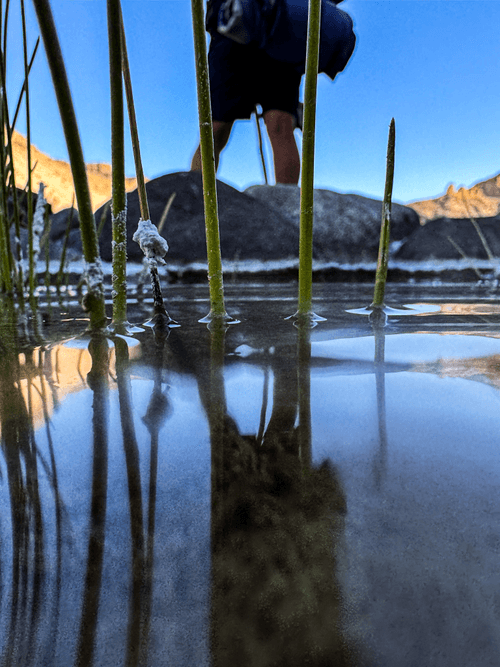 Beauty in the Desert
