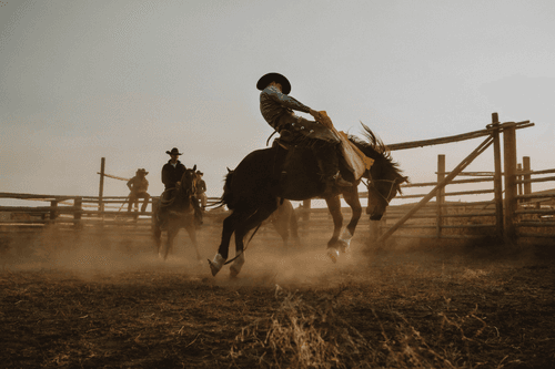 Rodeo posts