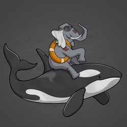 Ocean Racer #5760