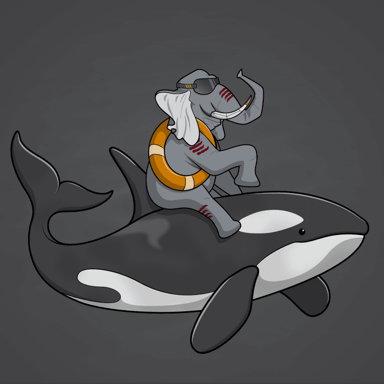 Ocean Racer #5760