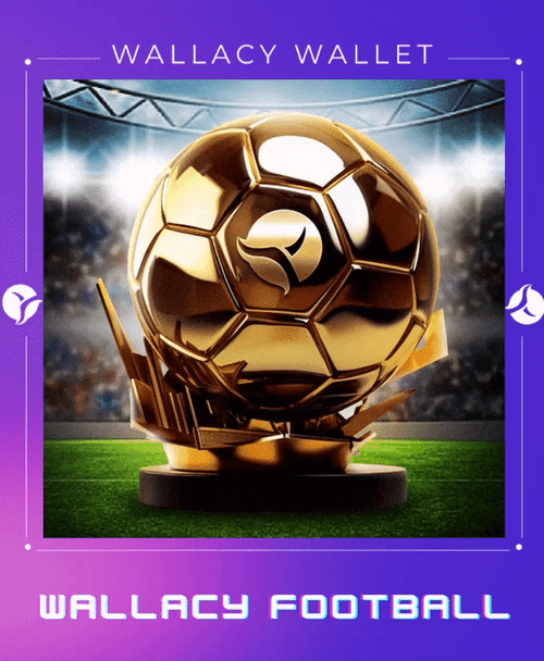 ⚽Wallacy Football NFT⚽