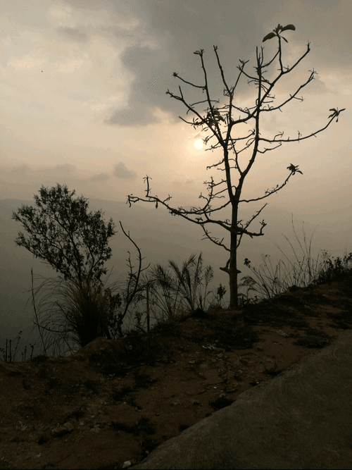 dmcsvn.lens-Collect-1759