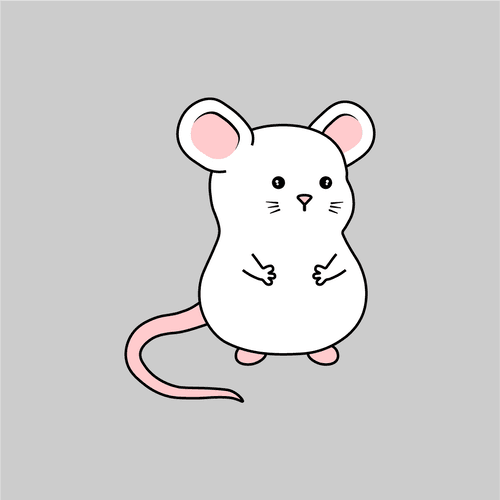 Mouse Experiment