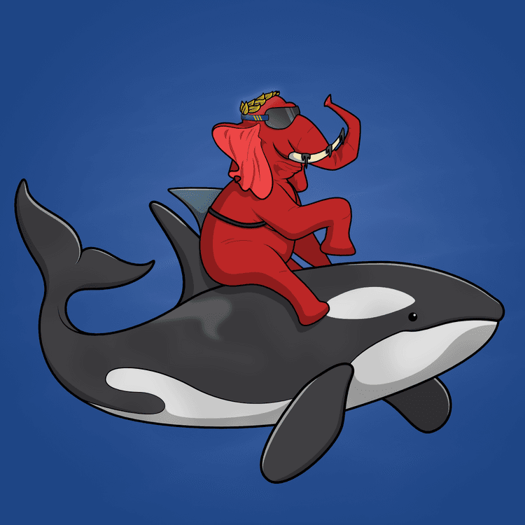 Ocean Racer #7147