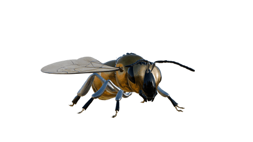 Meta Bee