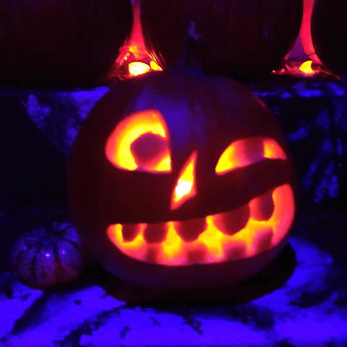 Pumpkins and Jack O Lanters