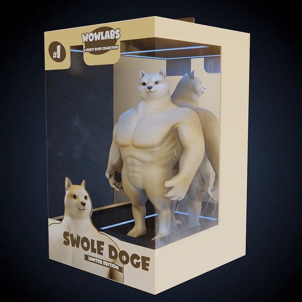 Swole Doge Toy Box #1