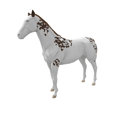 Pony Montana zkRace Horses OpenSea