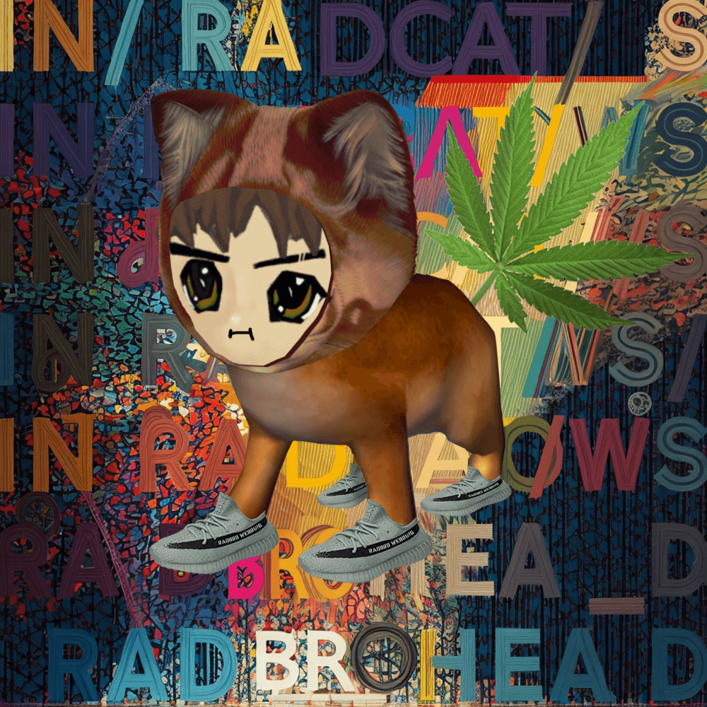 Radcat #2422