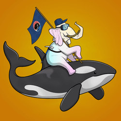 Ocean Racer #10570