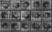CHRONOPHOTOGRAPH 12