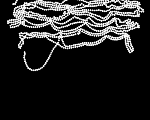 Chain 11