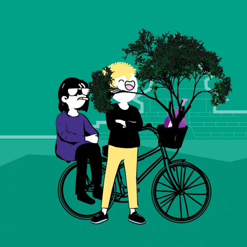 Item #234000081 Media